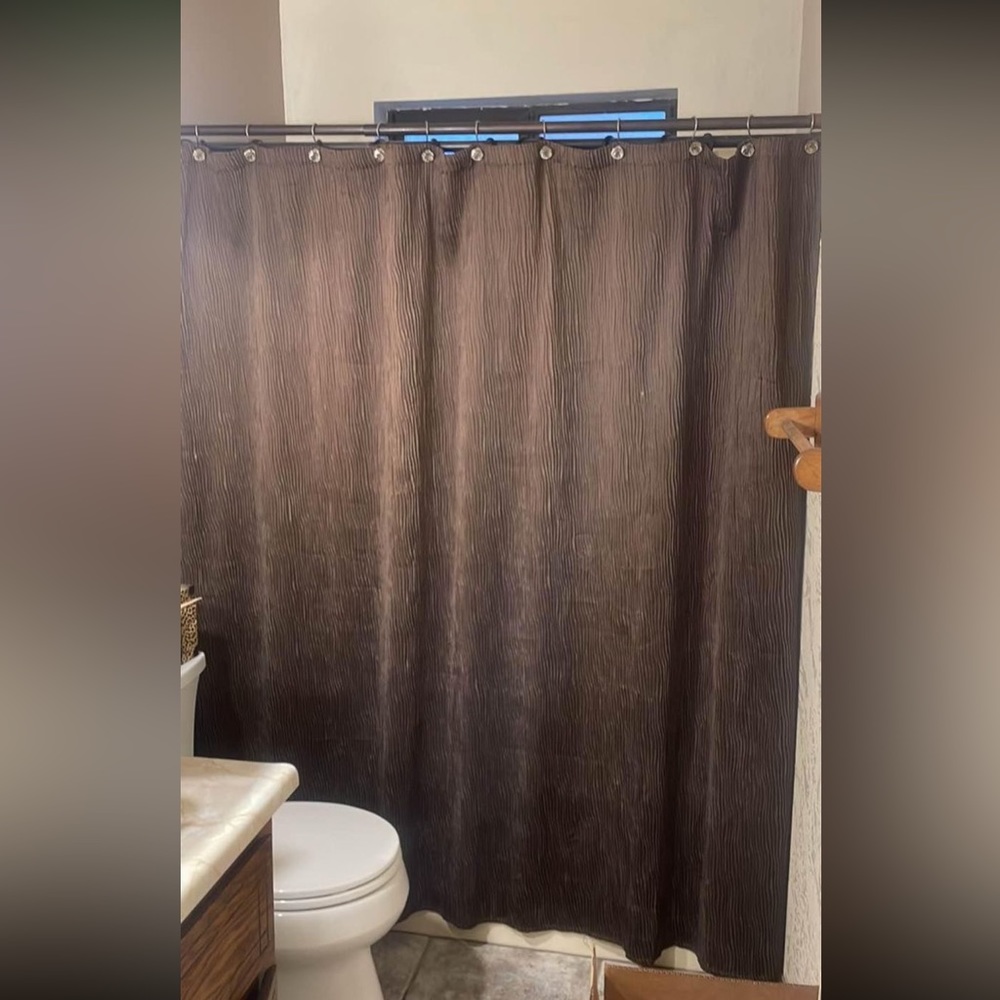 Shower curtain and hooks